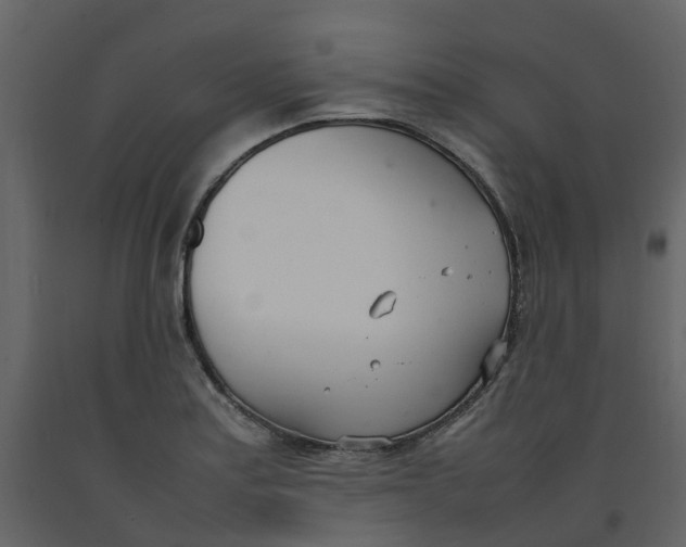 X0000092241179200710051233