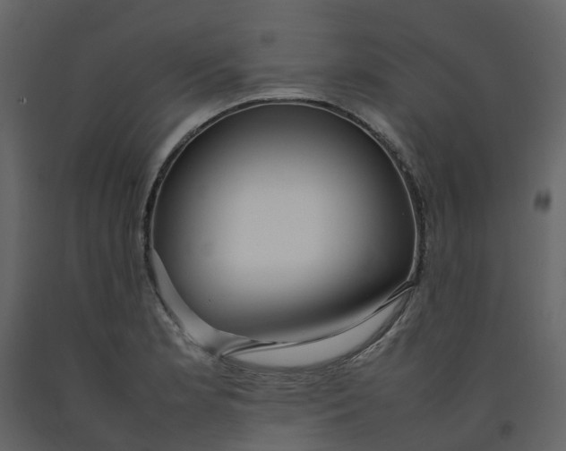 X0000092241181200710051233