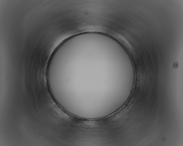 X0000092241182200710051233