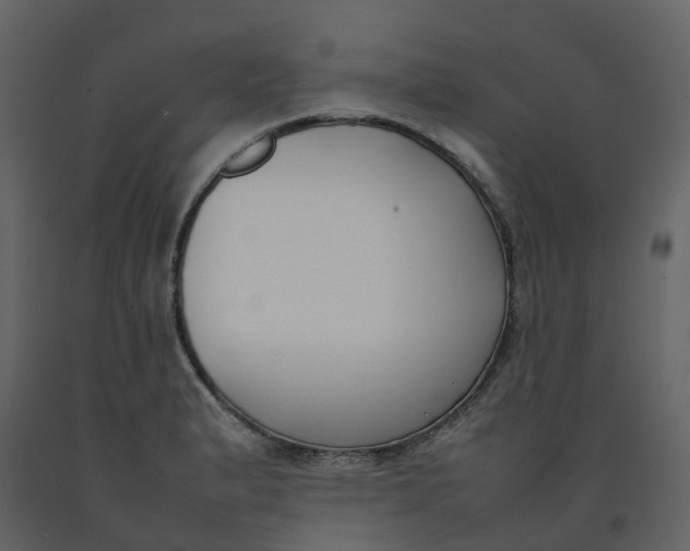 X0000092241183200710051233