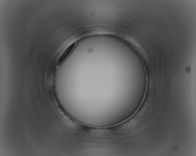 X0000092241185200710051232