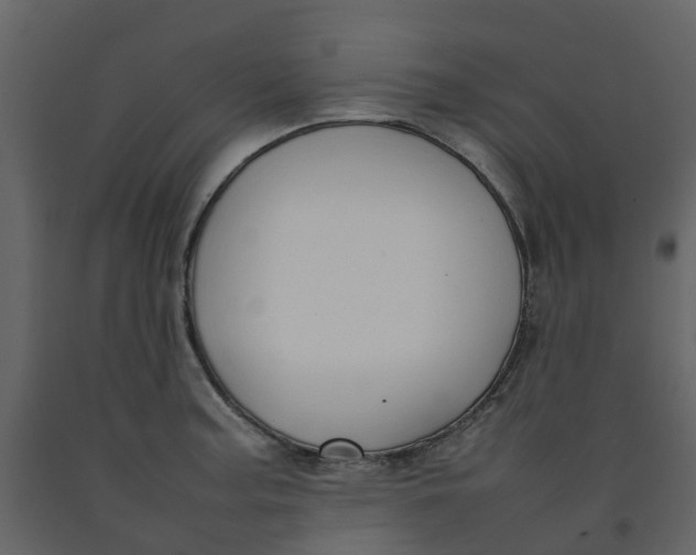 X0000092241187200710051232