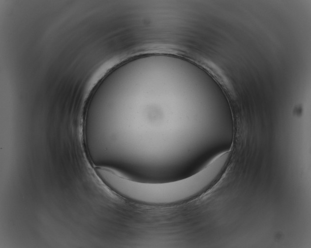 X0000092241188200710051232