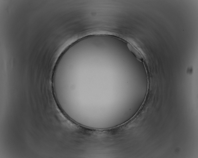 X0000092241189200710051232