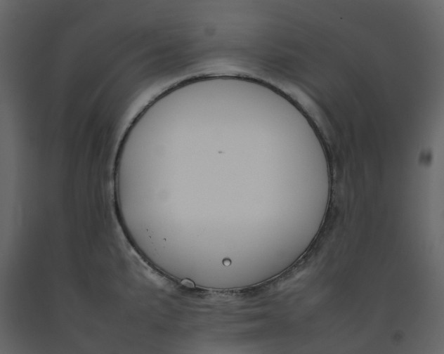 X0000092241191200710051232