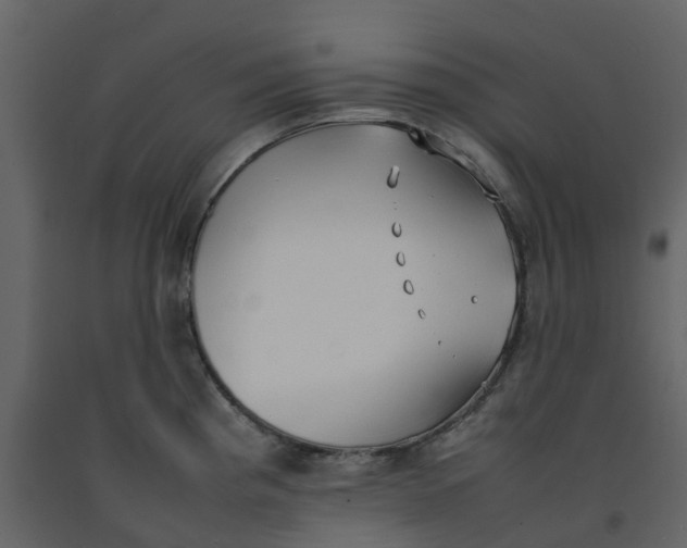 X0000092241193200710051232