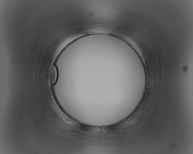 X0000092241195200710051232