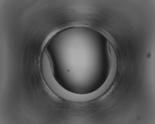 X0000092241196200710051232