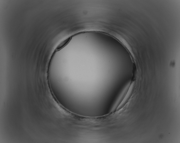 X0000092241197200710051232