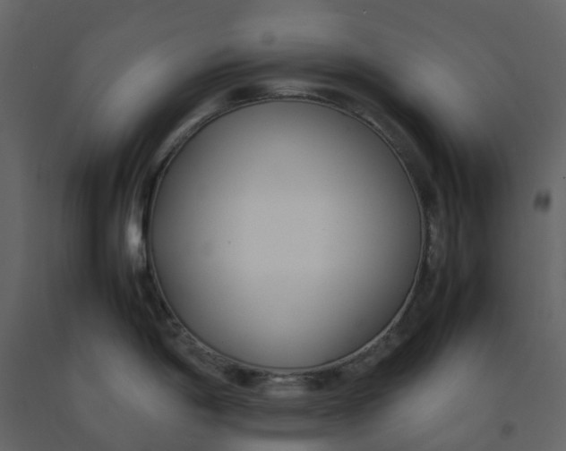 X0000092241198200710051232