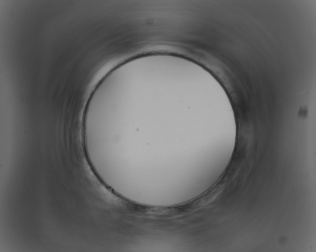 X0000092241199200710051232