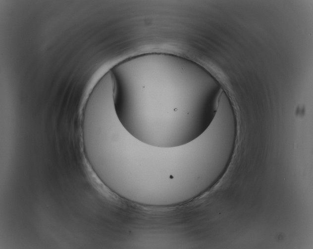 X0000092241200200710051232