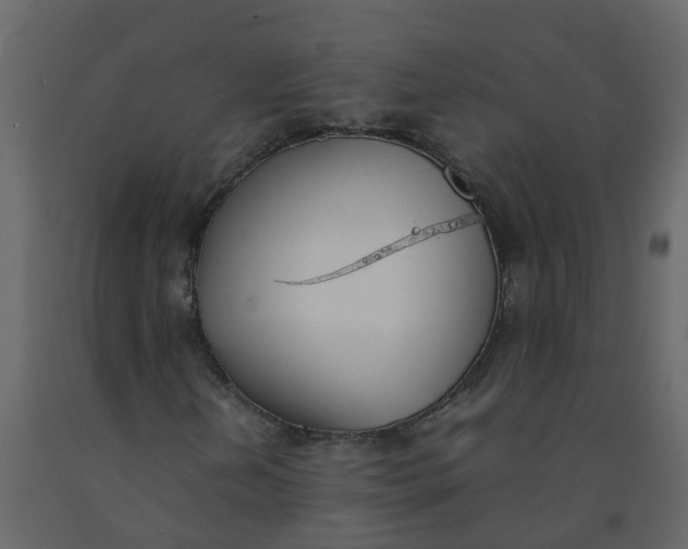 X0000092241202200710051232