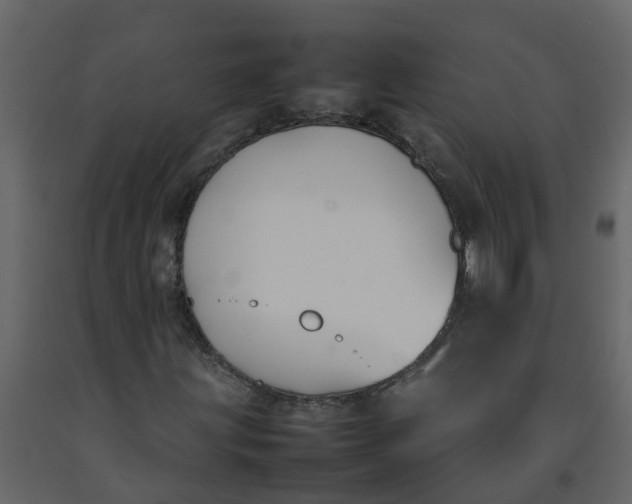 X0000092241203200710051232