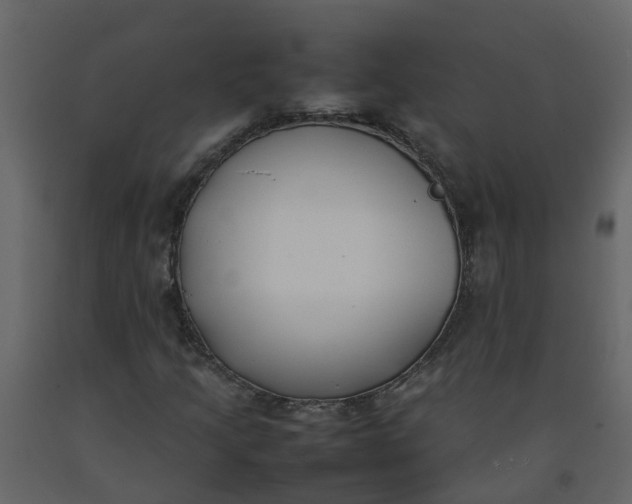 X0000092241205200710051232