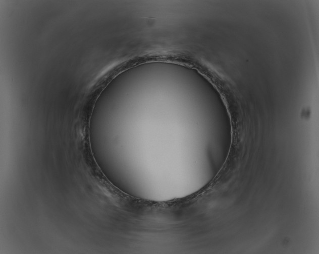 X0000092241206200710051232