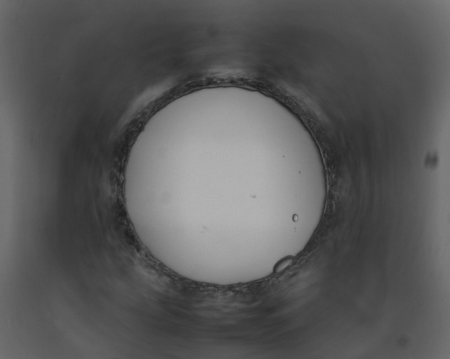 X0000092241207200710051232