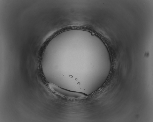 X0000092241208200710051232