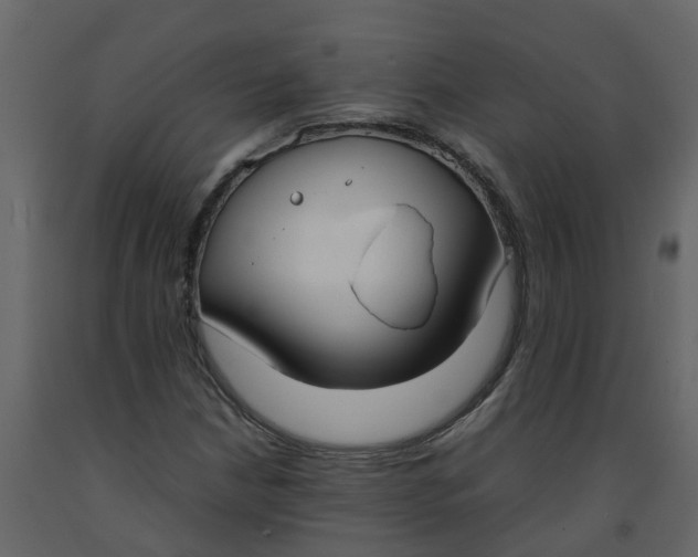 X0000092241210200710051232