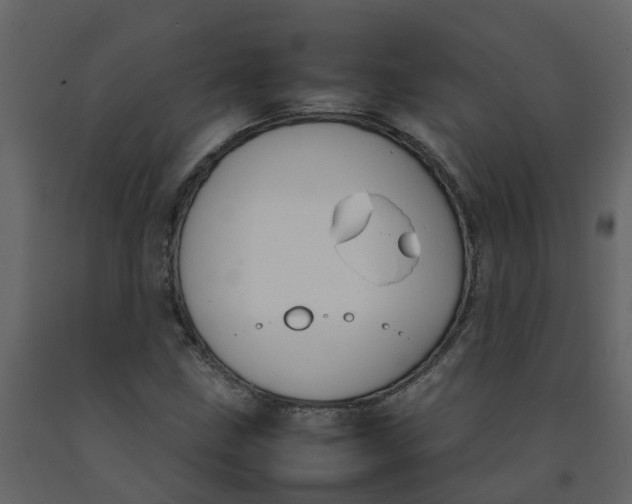 X0000092241211200710051232