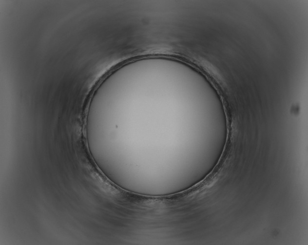 X0000092241212200710051232