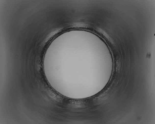 X0000092241213200710051232