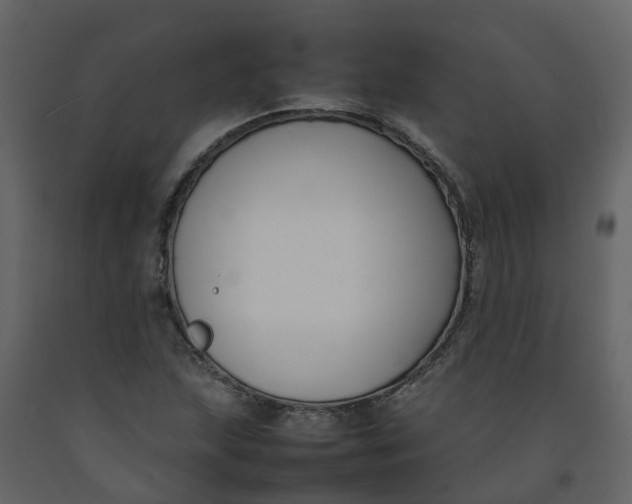 X0000092241215200710051232