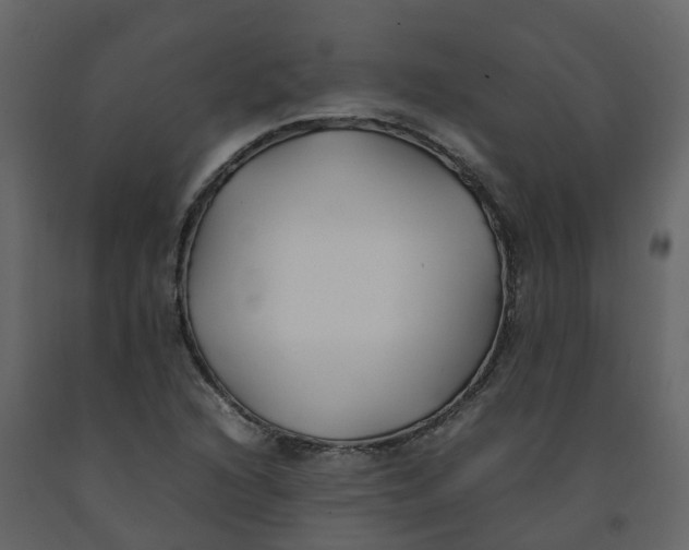 X0000092241216200710051232