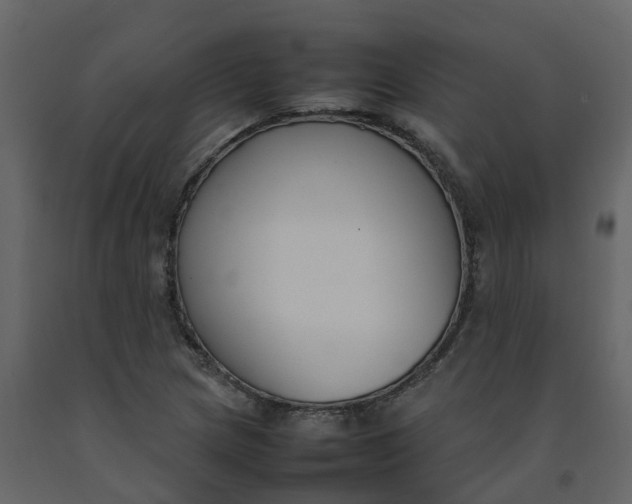 X0000092241217200710051232