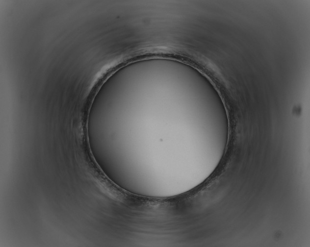 X0000092241218200710051232