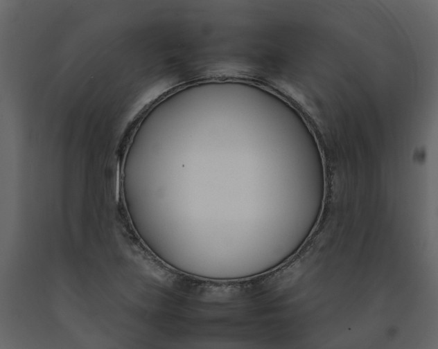 X0000092241219200710051232