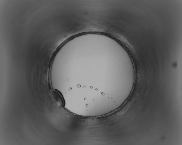 X0000092241220200710051232