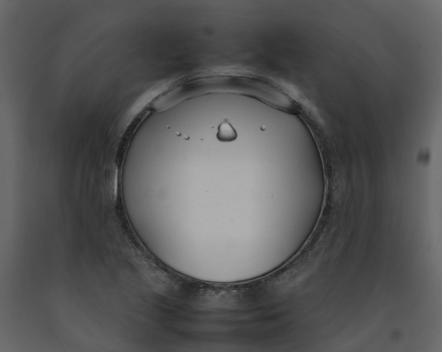 X0000092241221200710051232