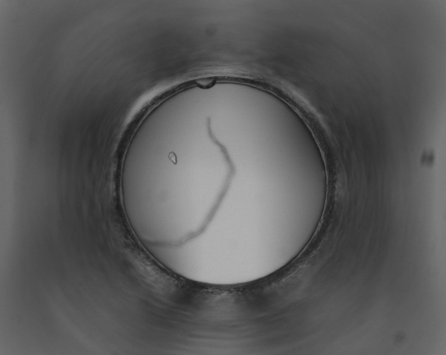 X0000092241222200710051232