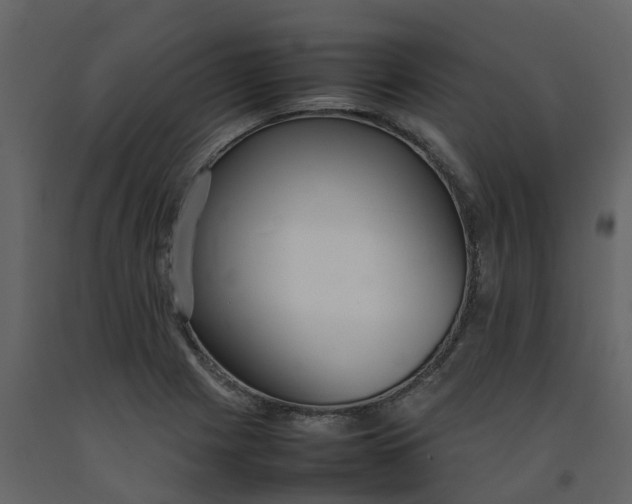 X0000092241225200710051232