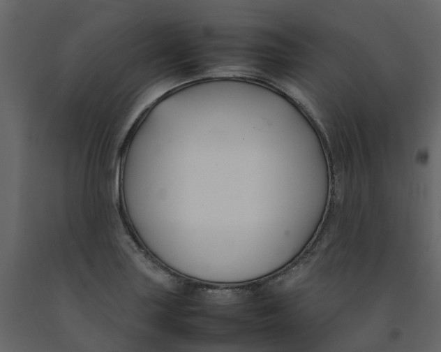 X0000092241227200710051232