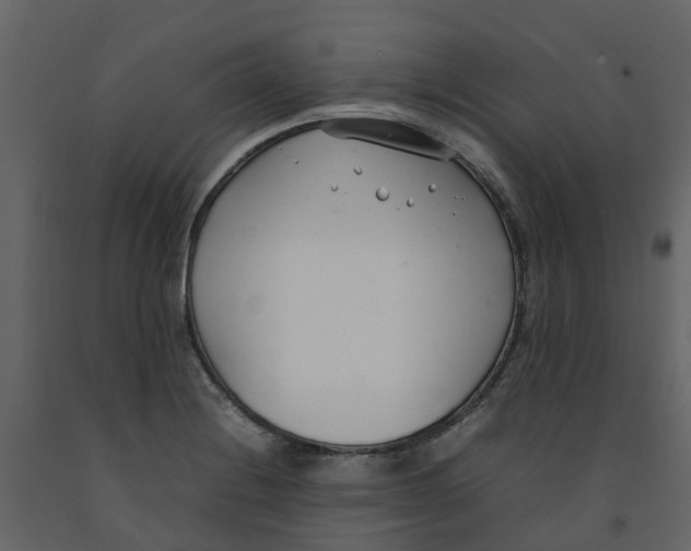 X0000092241228200710051232