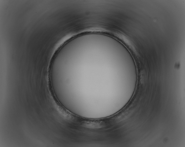 X0000092241229200710051232