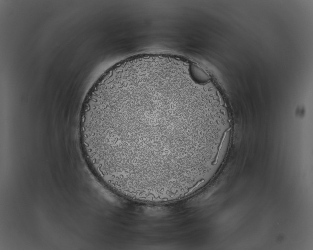 X0000092241231200710051232