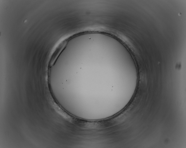 X0000092241232200710051232