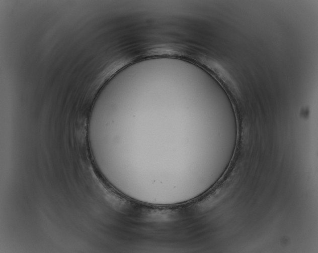 X0000092241233200710051232