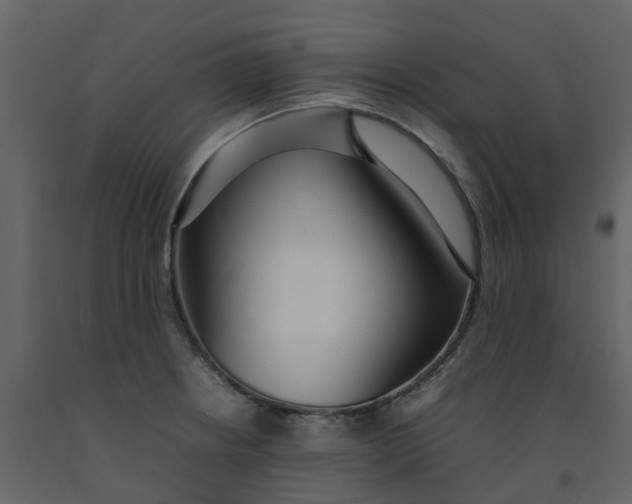 X0000092241234200710051232