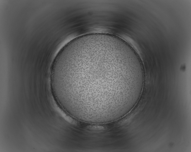 X0000092241235200710051232