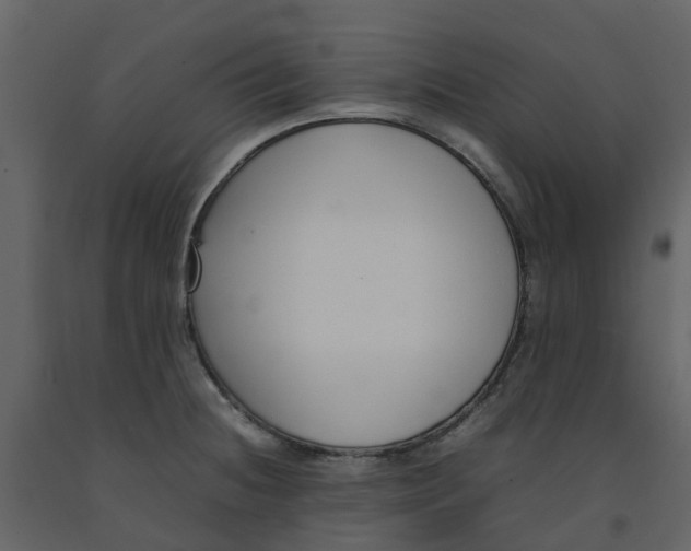 X0000092241236200710051232