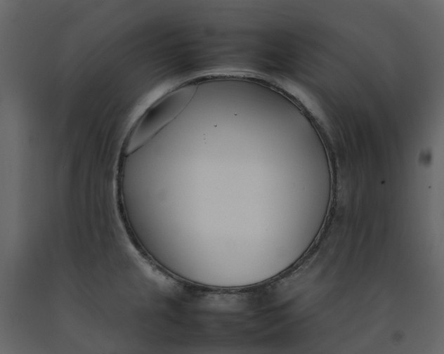 X0000092241237200710051232