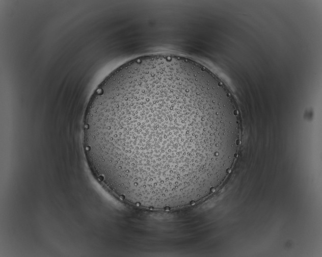 X0000092241239200710051232