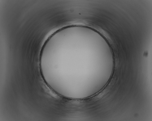 X0000092241240200710051232