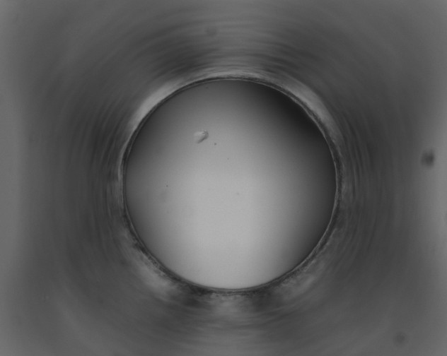 X0000092241242200710051232