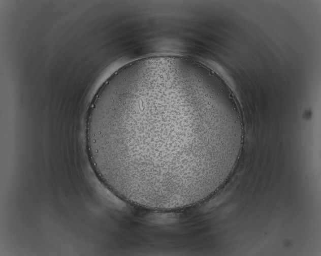 X0000092241243200710051232