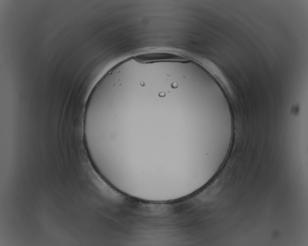 X0000092241244200710051232